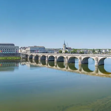 Appart hôtel Les Orchidées La Marine Saumur